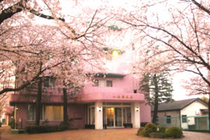 病院のまわりは桜がみごとに咲きます。