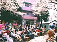 さくら祭りの全景の様子